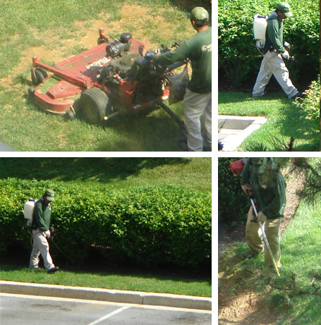 Graphics showing lawn work in action